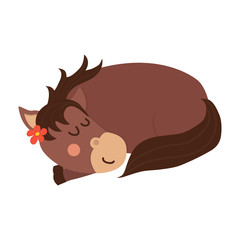 Cute horse is sleeping