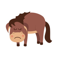 Cute horse is sad