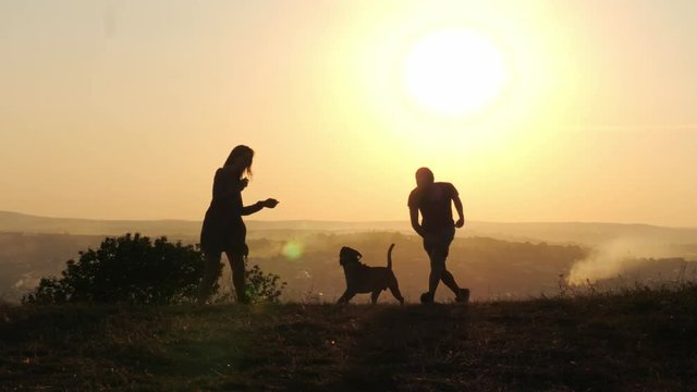 Silhouettes of happy couple playing running with their cute dog during sunset