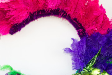 back feathers and embroidery of carnival