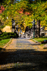 Statues in the park at fall