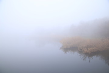 foggy morning by the river