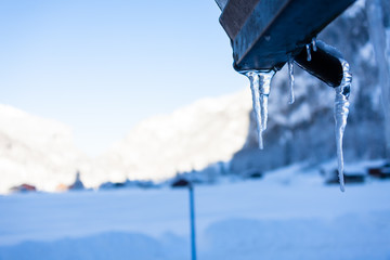 the cold icicles of Switzerland