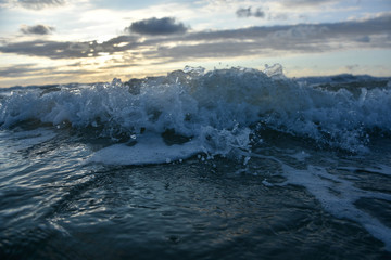 surf