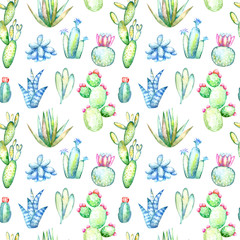 Seamless pattern of a cactus, sikkulent and floral.Watercolor hand drawn illustration.White background.