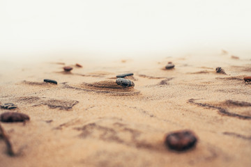 sand on beach wirh pebblestone