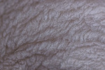 gray texture of fur and wool on clothes