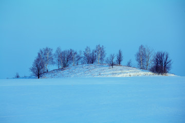 Rural winter landscape in the evening. Trees on a hill in a field at sunset