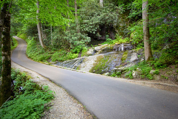 Spring In The Smoky Mountains. The Place Of A Thousand Drips is a seasonal roadside waterfall on the Roaring Fork Motor Nature Trail in the Great Smoky Mountains National Park.