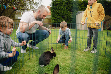 Naklejka premium Patrząc na króliki