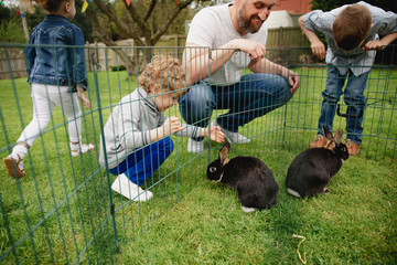 Petting the Rabbits