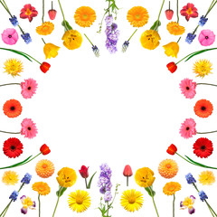 Flowers frame collection isolated on white background. Gentle composition with tulpans, gerbera, iris, dahlia, daisy, daylily, muscari. Place for text and greetings. Valentine's Day