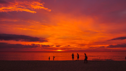 Fototapeta premium stunning sunset over coconut trees at Karon beach Phuket