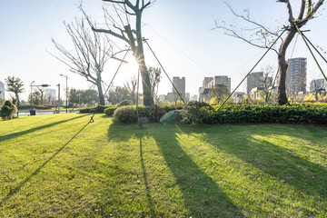 Obraz premium park in the city