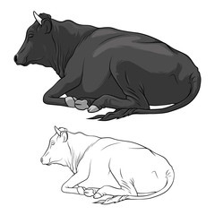 Black Cow Lying Down. Cow in lines. Cow on white background. Vector