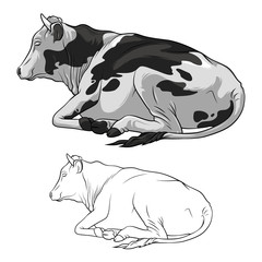 Black And White Cow Lying Down. Cow in lines. Cow on white background. Vector