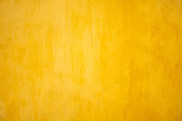 yellow wall for background.