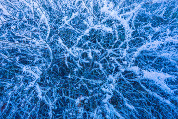 Fototapeta na wymiar Frost on branches. Weather forecast background