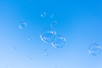 Soap bubble fly on blue sky background.