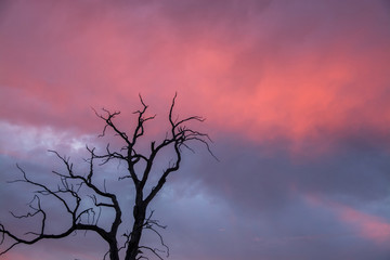 Sonnenuntergang in Rucksmoor, Niedersachsen, Deutschland