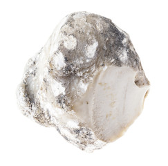 raw Cacholong stone on white