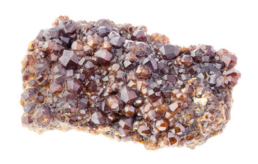 rough Andradite garnet crystals on rock on white