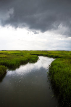 salt marsh at Shem Creek in Mount Pleasant South Carolina