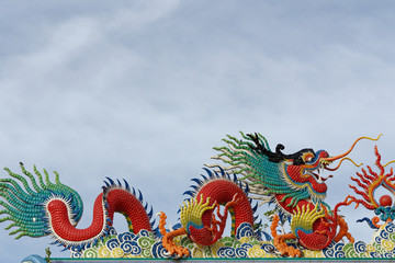 Fototapeta premium chinese new year dragon