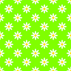 Summer seamless vector pattern with chamomile flowers