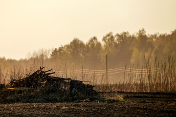 Fog on plowed field in spring season.
