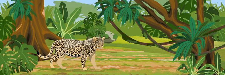 Jaguar in the jungle. Big cat on the hunt. Amazonia rain forests. Realistic Vector Landscape