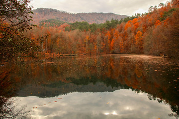 seven Lakes National Park, Autumn, Turkey