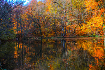 seven Lakes National Park, Autumn, Turkey