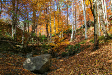 seven Lakes National Park, Autumn, Turkey