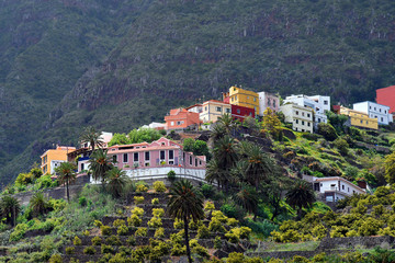 Fototapeta na wymiar Spain, Canary Islands, La Gomera