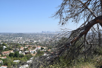 Los Angeles, Panorama, Landschaft, Anblick, Gegend