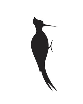 recommend clip art: Woodpecker silhouette. Isolated  woodpecker on white background