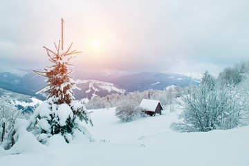 Carpathian mountain village in light of rising moon with wooden houses on a hill covered with fresh snow. Fantastic milky way in a starry sky. Christmas winter night. © kishivan