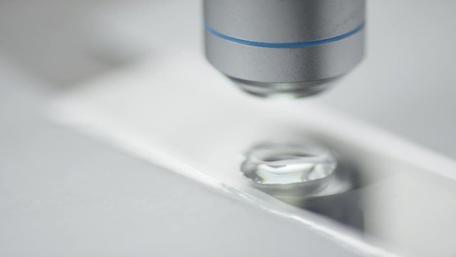 Scientist switches microscope lens to analyze a drop of liquid
