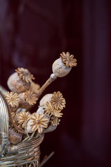 Poppy bunch dried small. Shallow Depth of Field. Close-up.