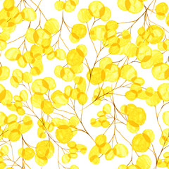 Fototapeta na wymiar Branches with transparent leaves of light yellow color on a white color