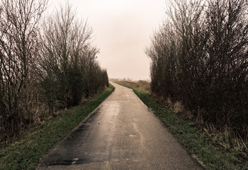 deserted country road on a rainy day