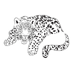 Black and white vector sketch of lying Jaguar