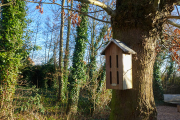 Birdhouse on a tree