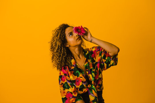 Woman holding transvaal daisy against while standing against yellow background