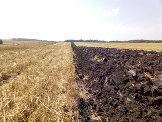 Equal plowing of the field after cleaning of wheat