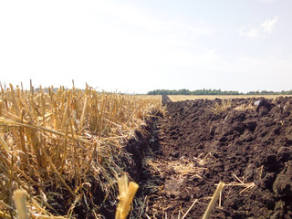 Equal plowing of the field after cleaning of wheat