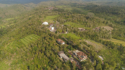 village among rice fields and terraces in Asia. aerial view farmland with rice terrace agricultural crops in countryside Indonesia, Bali.
