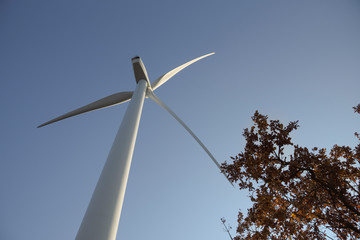 Wind energy. Wind turbine for the production of clean energy and conservation of the environment....
