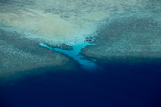 Aerial view of coral.